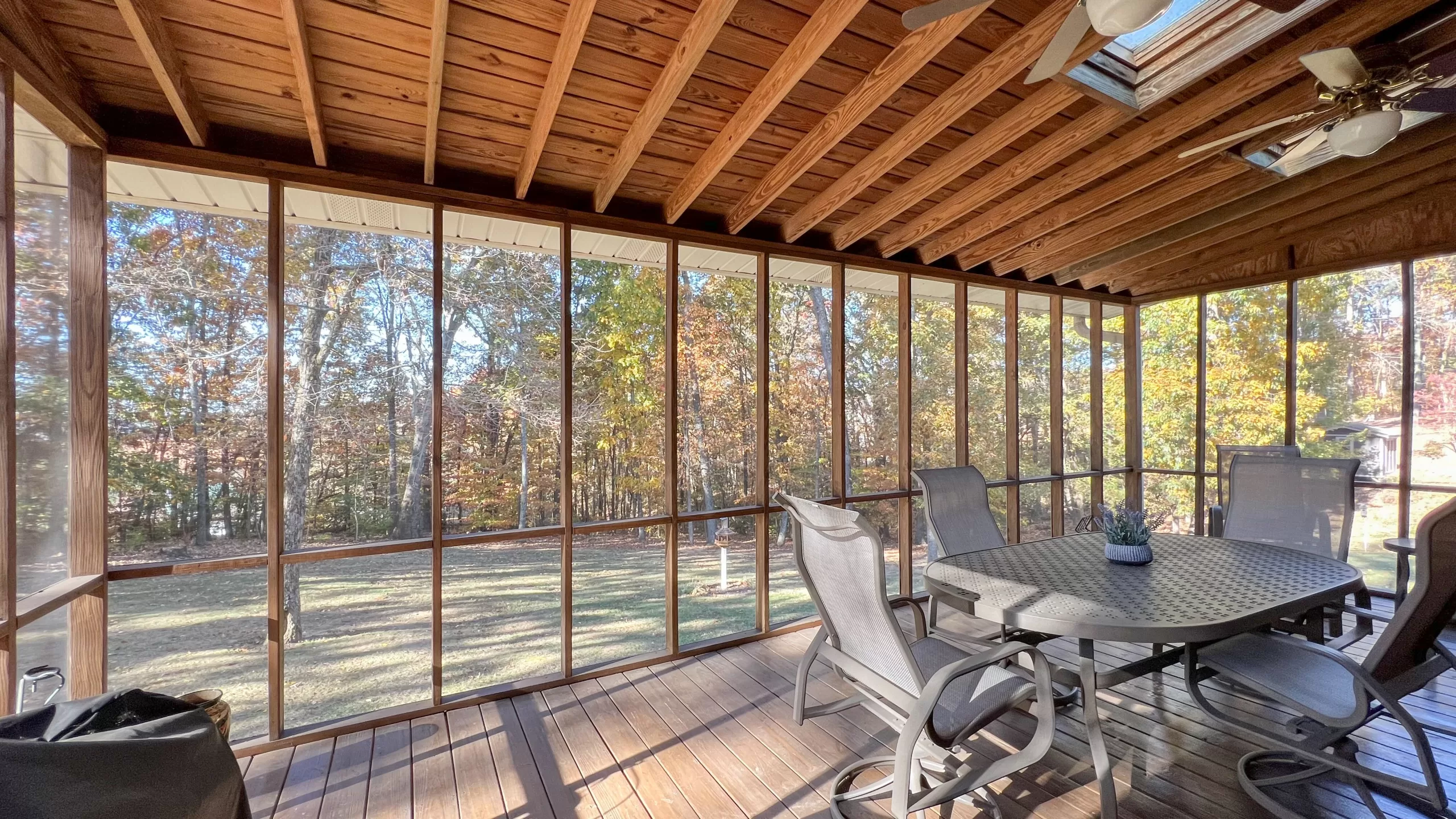 Laurel Oak Back Yard