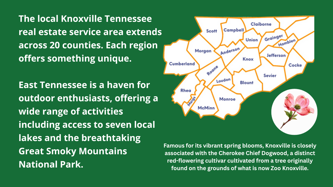 20 Counties of East Tennessee Picture of Outline of Eacj East Tennesse Service Area Counties